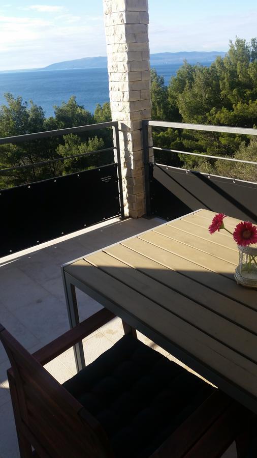 Apartment Gavza Sky View